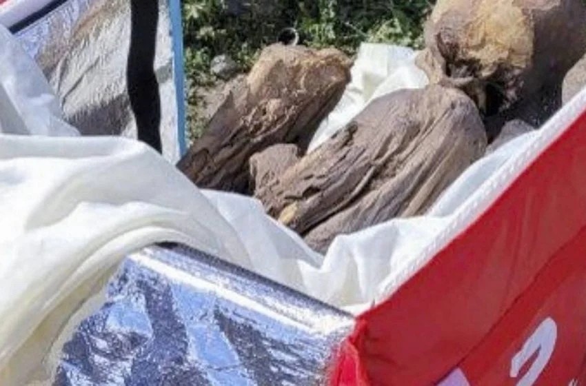  Il avait pour petite amie une momie d’environ 800 ans 