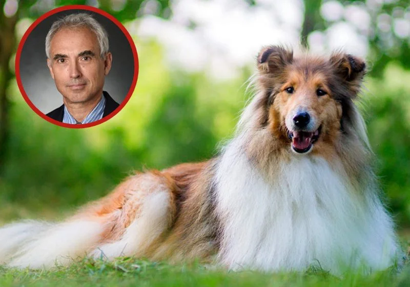 Inculpé pour avoir violé sa chienne