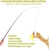 MeoHui Cat Toys for Indoor Cats, Interactive Cat Toy 2PCS Retractable Cat Wand Toy and 9PCS Cat Feather Toys Refills, Funny Kitten Toys Cat Fishing Pole Toy for Bored Indoor Cats Chase and Exercise - Image 3