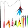 MeoHui Cat Toys for Indoor Cats, Interactive Cat Toy 2PCS Retractable Cat Wand Toy and 9PCS Cat Feather Toys Refills, Funny Kitten Toys Cat Fishing Pole Toy for Bored Indoor Cats Chase and Exercise - Image 2