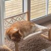 Mkono Boho Cat Bed Hammock with Blanket, Macrame Elevated Pet Bed for Indoor, Floor Standing Breathable Cat Chair Pet Resting Hammock Cat Furniture Gift for Cats and Small Dogs - Image 5