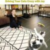 MeoHui Cat Toys for Indoor Cats, Interactive Cat Toy 2PCS Retractable Cat Wand Toy and 9PCS Cat Feather Toys Refills, Funny Kitten Toys Cat Fishing Pole Toy for Bored Indoor Cats Chase and Exercise - Image 8