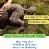 Native Pet Omega Oil for Dogs - Dog Fish Oil Supplements with Omega 3 EPA DHA - Supports Itchy Skin + Mobility - Omega 3 Fish Oil for Dogs Liquid Pump is Easy to Serve - a Fish Oil Dogs Love! (8 oz) - Image 4