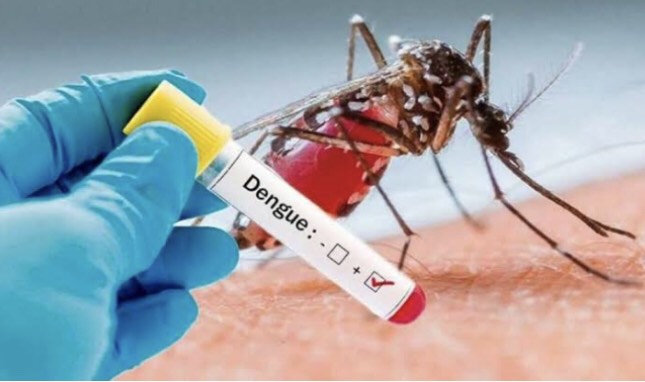 Epidémie de Dengue en République Dominicaine